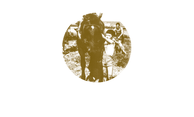 Arboriculteurs depuis trois générations - Vergers de Seyvons